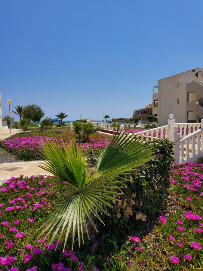Duplex Espectacular En Primera Linea Naturista! Apartment *